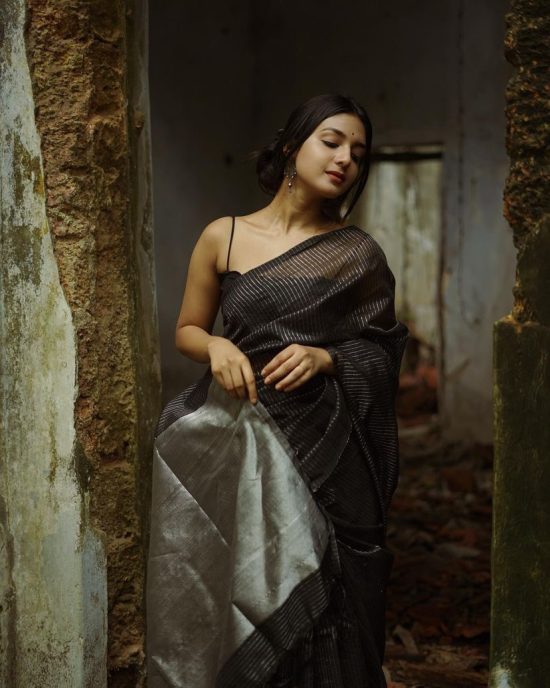 Black and Silver Organza Saree