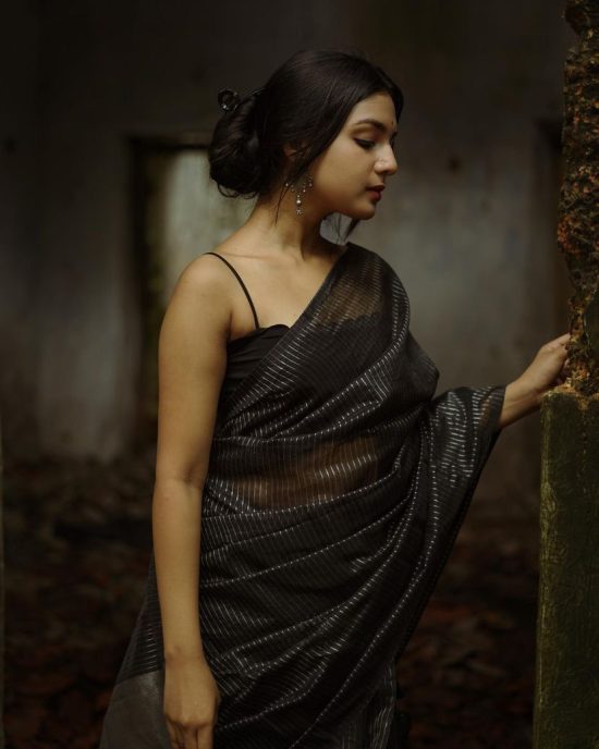 Black and Silver Organza Saree