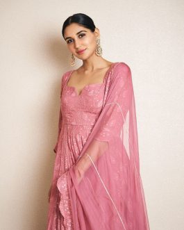 Pink Embroidered Anarkali Gown