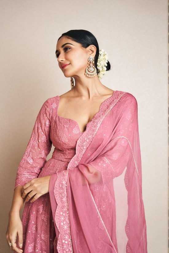 Pink Embroidered Anarkali Gown