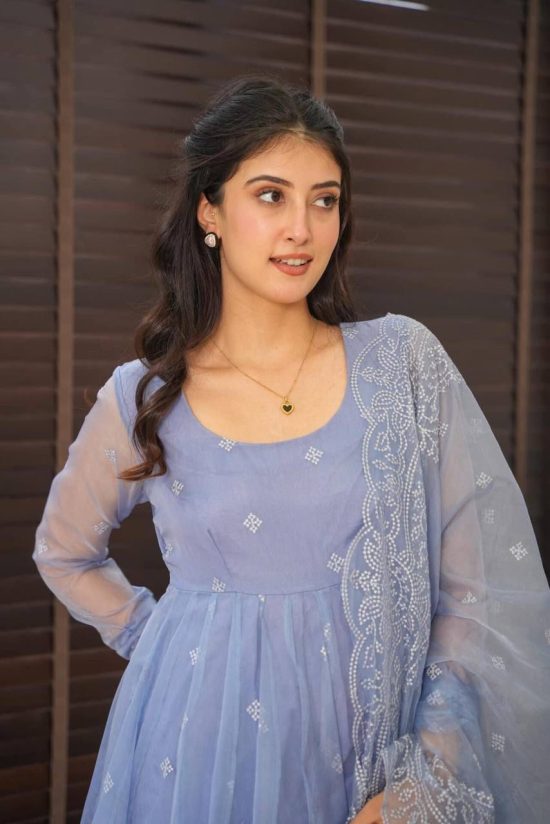 Pastel Blue Embroidered Anarkali Suit