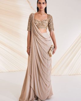 Little Wish - Taylen Beige Embellished Sari with Blouse for a Subtle, Elegant Style