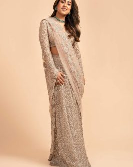 Little Wish - Maha Champagne Sari Skirt Set with Subtle Embellishments for a Sophisticated Look