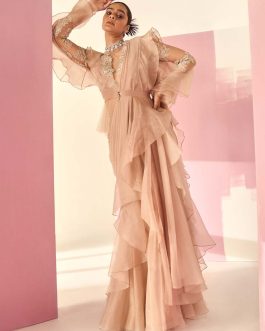 Little Wish - Maaziya Dark Champagne Draped Sari and Blouse for a Regal Appeal
