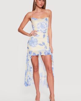 Floral Cowl Neck High Low Dress with Ruffles