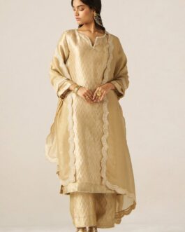 Fog Beige and Golden Woven Tissue Festive Kurta Set