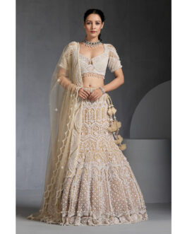Little Wish Ivory Embellished Net Lehenga with Choli and Dupatta (Set of 3)