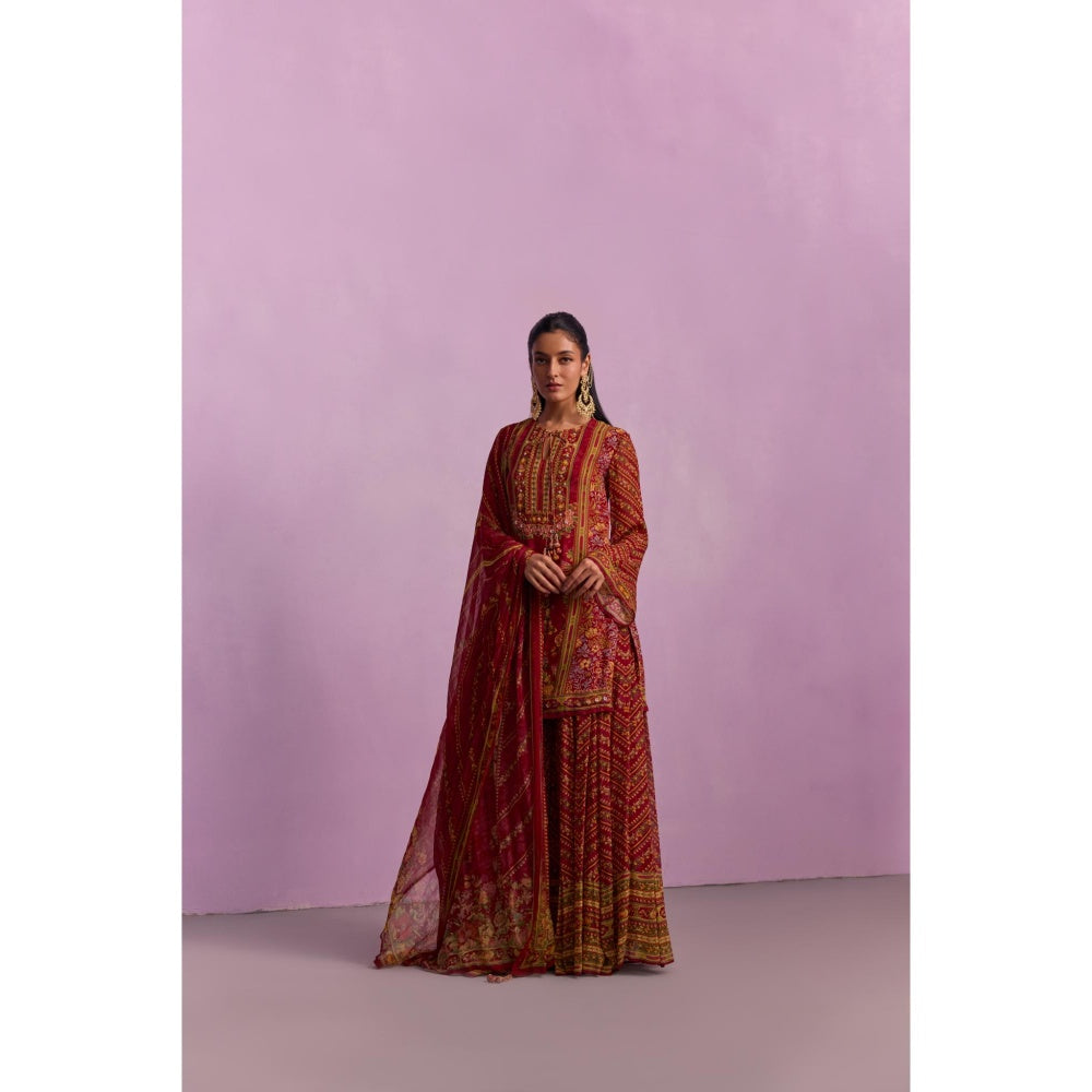 Little Wish Asma Red Floral Print Kurta with Sharara and Dupatta (Set of 3)