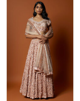 Little Wish Pink Embroidered Lehenga with Stitched Blouse And Dupatta (Set of 3)