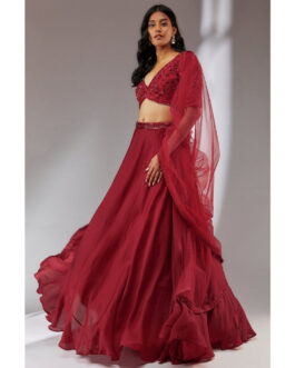 Little Wish Satin Wine Embellished Lehenga (Set of 3)