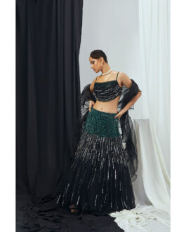 Little Wish Carbon Hand Embroidered Draped Bralette with Lehenga and Dupatta (Set of 3)