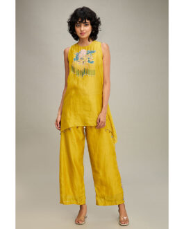 Little Wish Zinnia Emebllished Kurti and Pant (Set of 2)