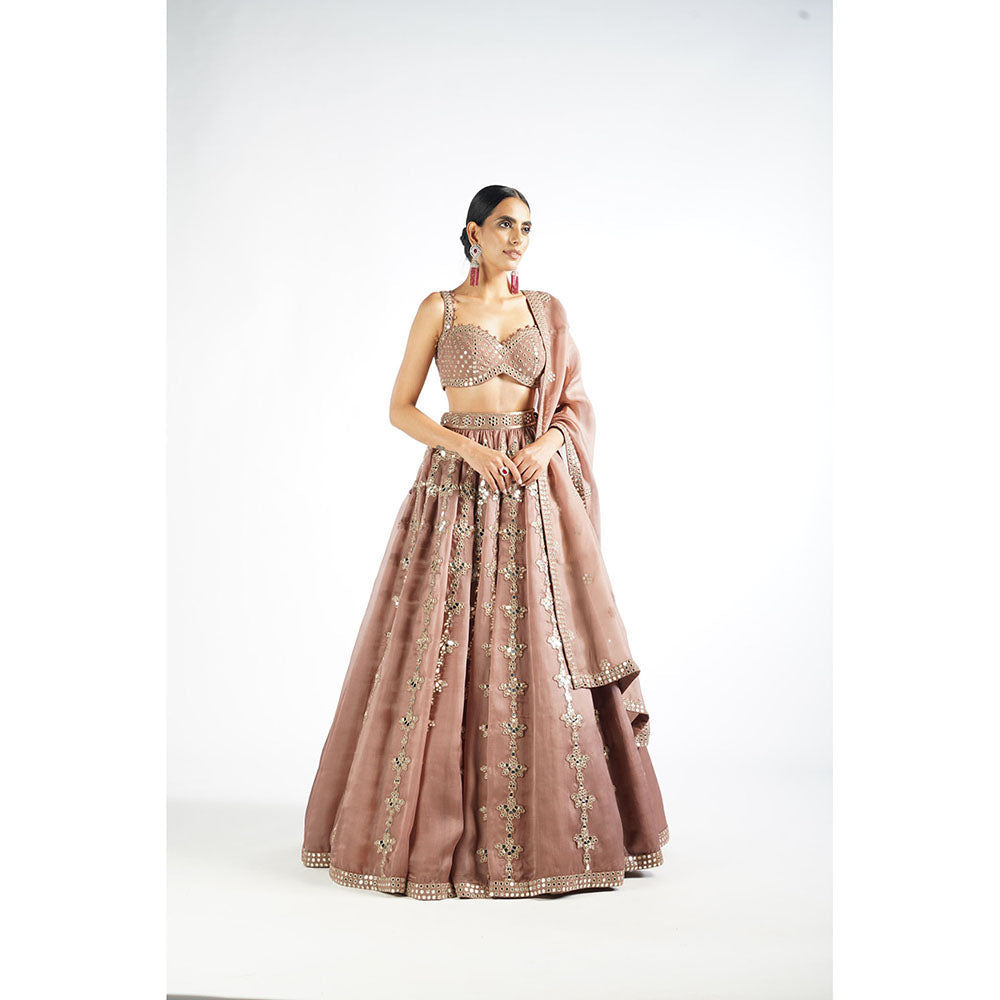 Little Wish Deep Beige Chandelier Drop Blouse with Lehenga & Dupatta (Set of 3)