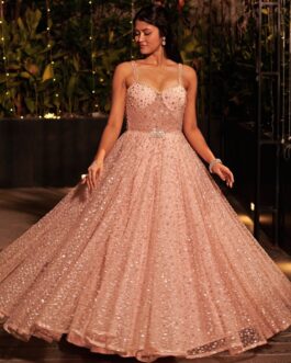 Baby Pink Silver Embroidered Gown