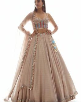 Beige Gold Applique Corset Lehenga