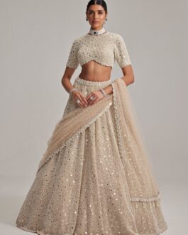 Beige Gold Classic Bridal Lehenga
