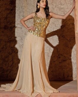 Beige Gold Organza Corset With Trail Skirt Set