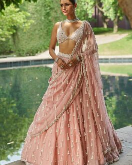 Dusty Rose Pearl Tasseled Organza Lehenga