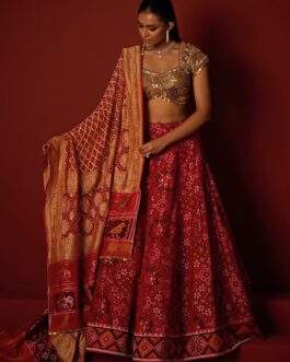 Red And Gold Patola Silk Lehenga Set