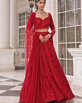 Red Embroidered Organza Lehenga