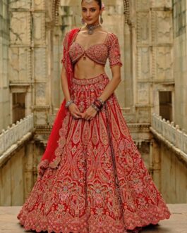 Red Embroidered Raw Silk Lehenga Set