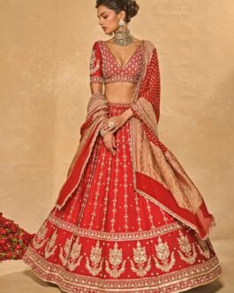 Red Raw Silk Lehenga With Banarasi Dupatta