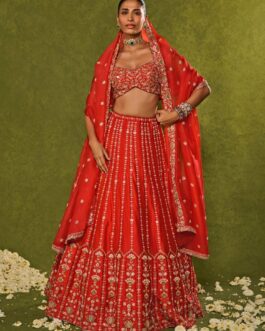 Red Raw Silk Lehenga