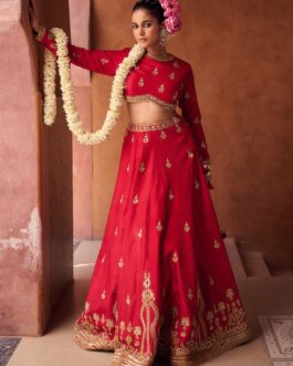Red Silk Embroidered Lehenga
