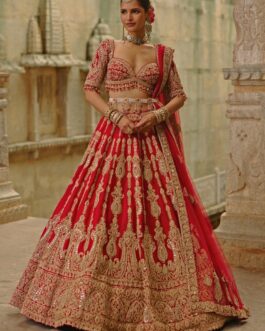 Royal Red Raw Silk Bridal Lehenga Set