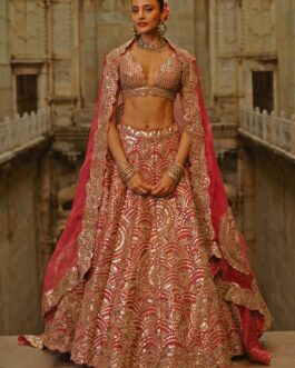 Rust Red Taffeta Mirror Lehenga Set