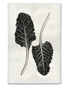 Swiss Chard Handmade Paper Wall Art Print