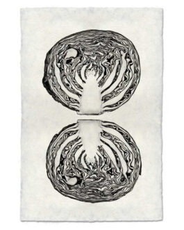 Cabbage Handmade Paper Wall Art Print