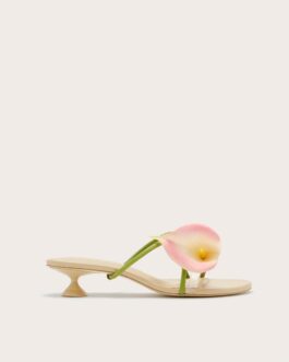 Claire Mule - Pink Multi
