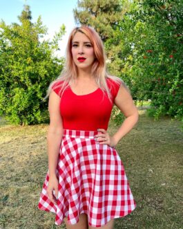 Red Gingham Skater Skirt