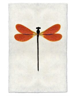 Amber Damsel Dragonfly Handmade Paper Wall Art Print