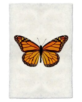 Butterfly  Handmade Paper Wall Art Print