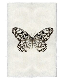 Butterfly Handmade Paper Wall Art Print