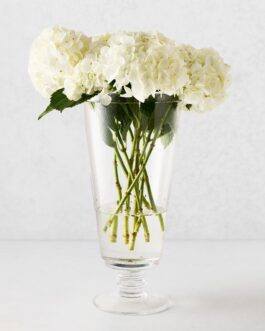 Large Oxford Glass Vase