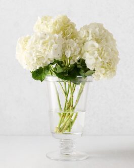 Small Oxford Glass Vase