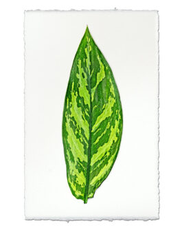 Green Dieffenbach on English Watercolor Wall Art Print