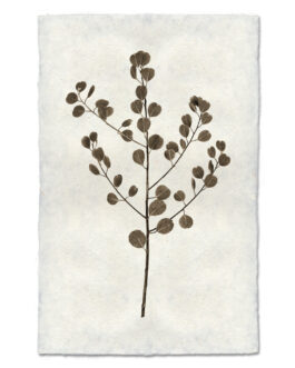 Eucalyptus  Handmade Paper Wall Art Print