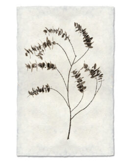 Eucalyptus  Handmade Paper Wall Art Print
