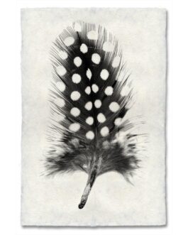 Guinea Fowl Feather Study Handmade Paper Wall Art Print