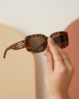 Brown Ladies Sunglasses