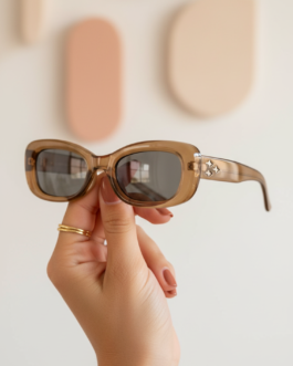 Brown Ladies Sunglasses