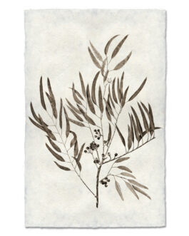 Eucalyptus  Handmade Paper Wall Art Print