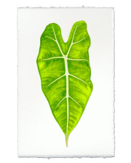 Green Philodendron Leaf on English Watercolor Wall Art Print