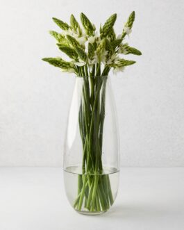 Robert Glass Vase