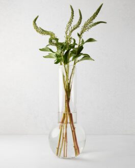 Sofia Glass Vase