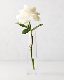 Solifleur Large Glass Bud Vase